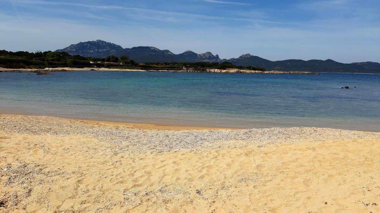 Il Piccolo Rifugio A Due Passi Dalla Costa, Cozy Studio Daire Porto Rotondo Dış mekan fotoğraf