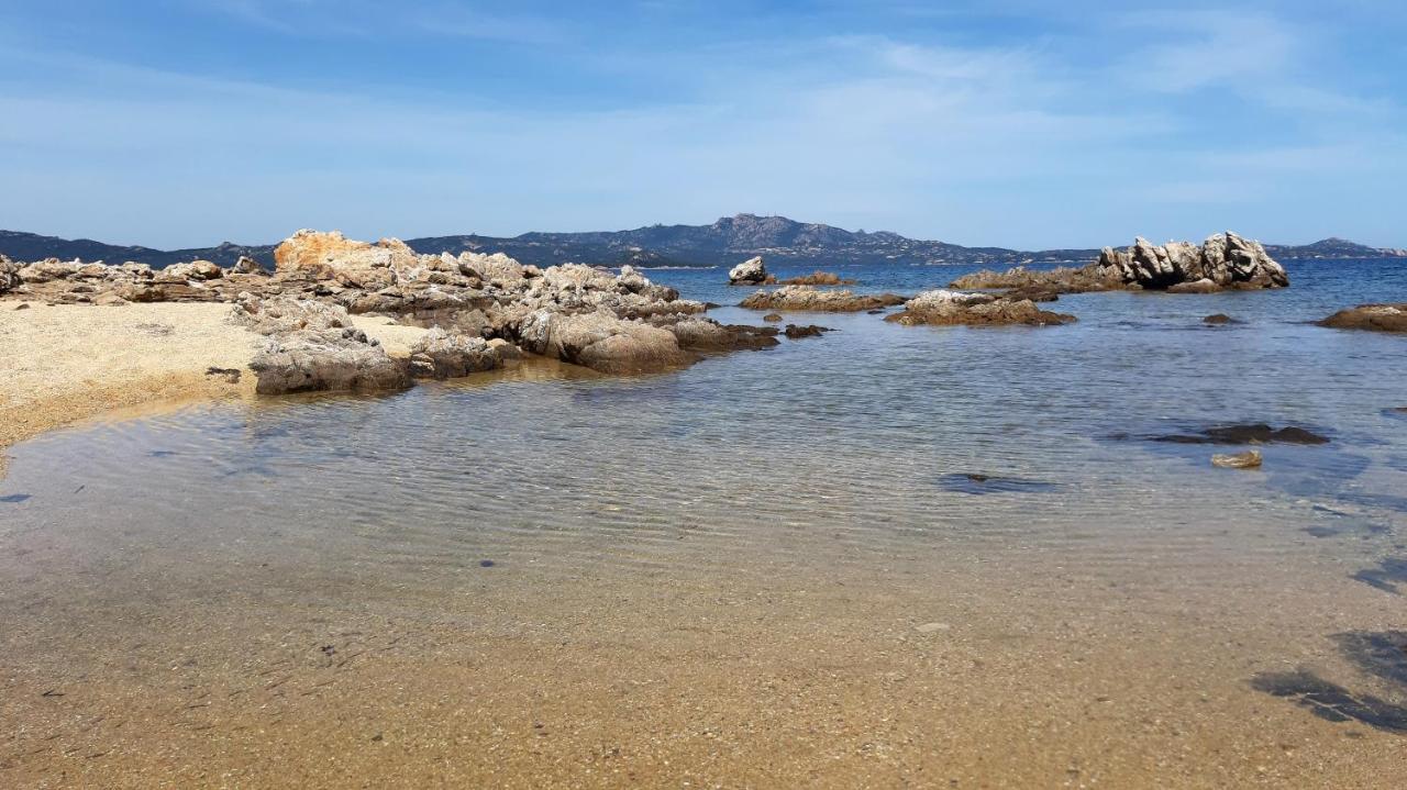 Il Piccolo Rifugio A Due Passi Dalla Costa, Cozy Studio Daire Porto Rotondo Dış mekan fotoğraf