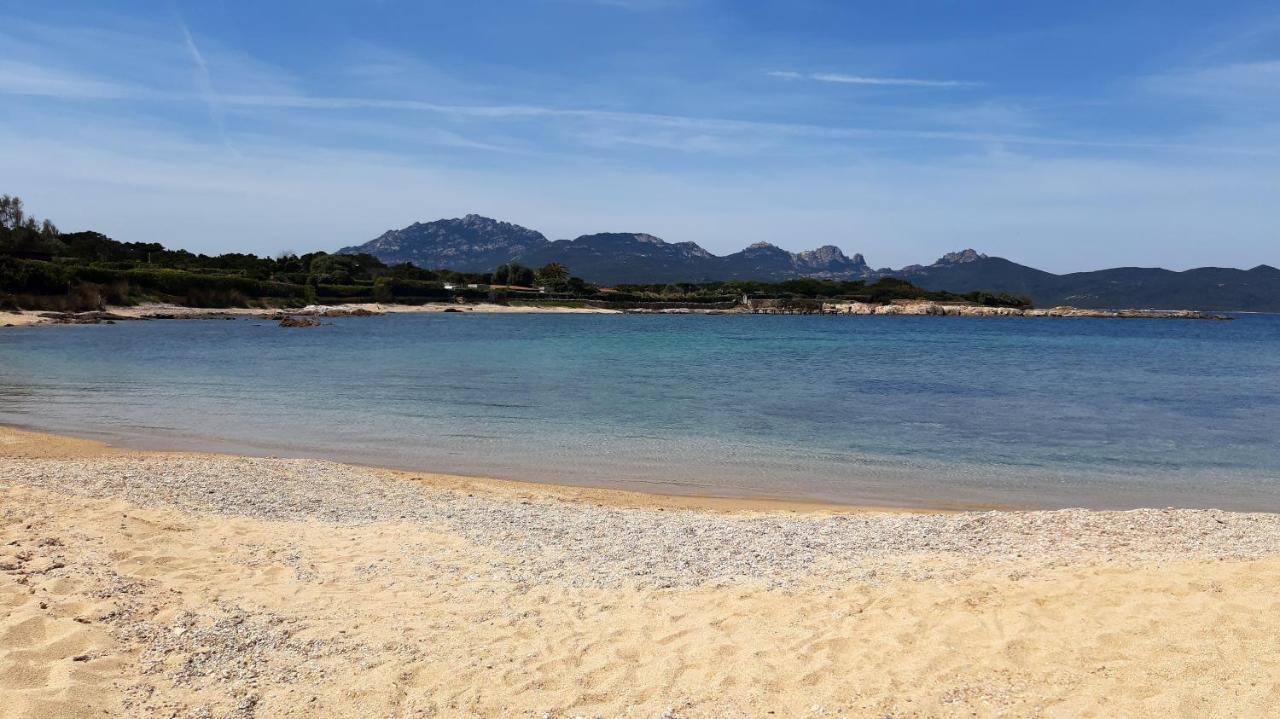 Il Piccolo Rifugio A Due Passi Dalla Costa, Cozy Studio Daire Porto Rotondo Dış mekan fotoğraf