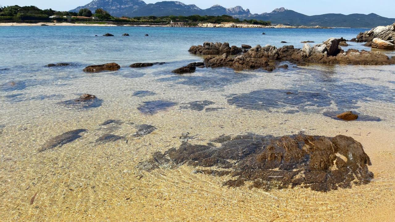 Il Piccolo Rifugio A Due Passi Dalla Costa, Cozy Studio Daire Porto Rotondo Dış mekan fotoğraf