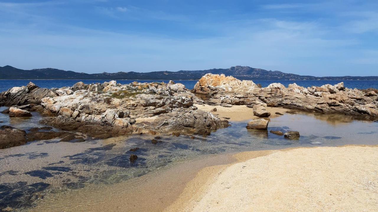 Il Piccolo Rifugio A Due Passi Dalla Costa, Cozy Studio Daire Porto Rotondo Dış mekan fotoğraf