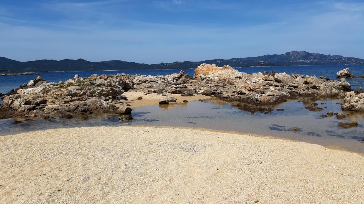 Il Piccolo Rifugio A Due Passi Dalla Costa, Cozy Studio Daire Porto Rotondo Dış mekan fotoğraf