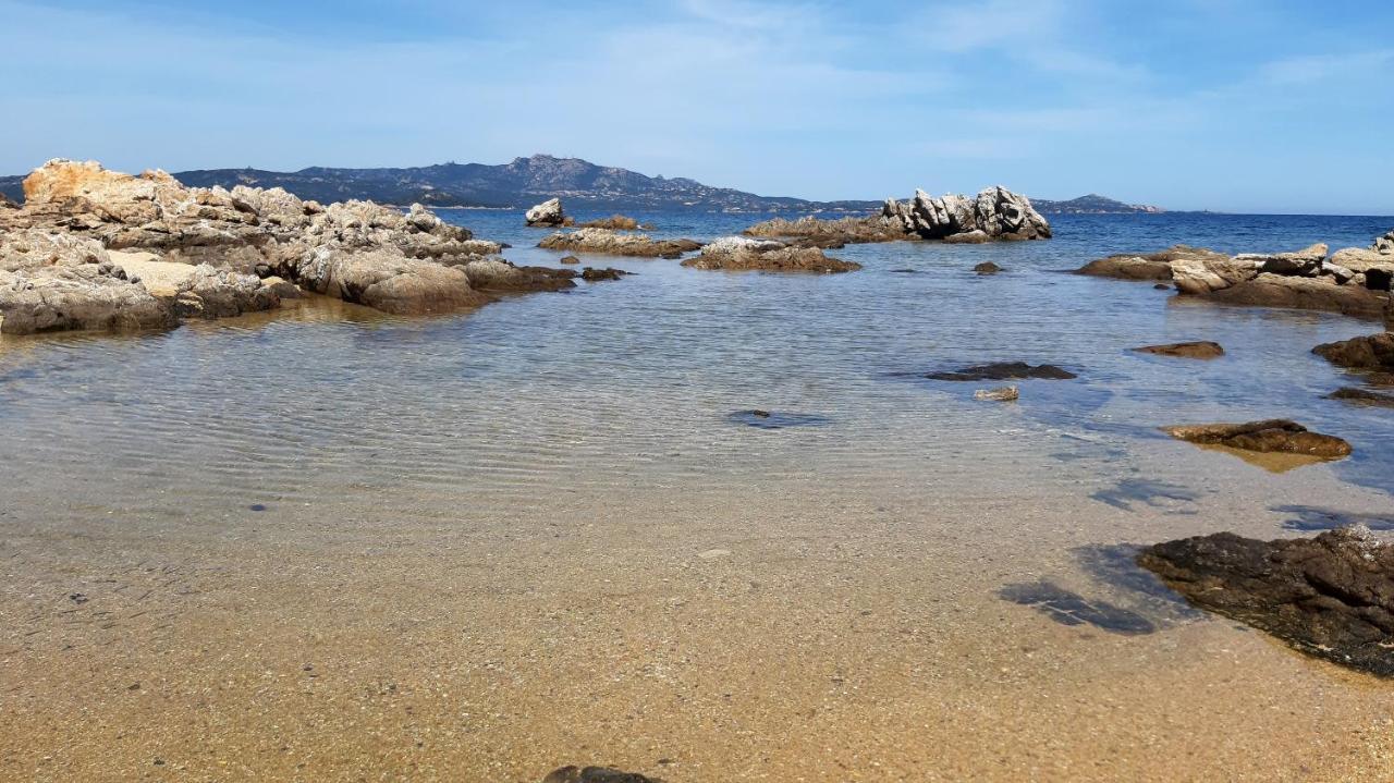 Il Piccolo Rifugio A Due Passi Dalla Costa, Cozy Studio Daire Porto Rotondo Dış mekan fotoğraf